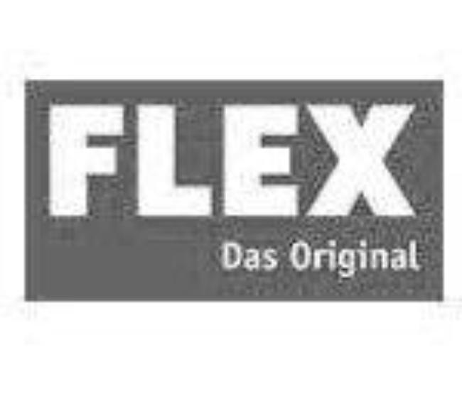 Flex Logo