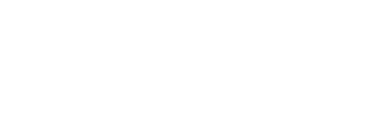 steinbeis